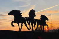 Team Sonnenhof I Dressurreiten 